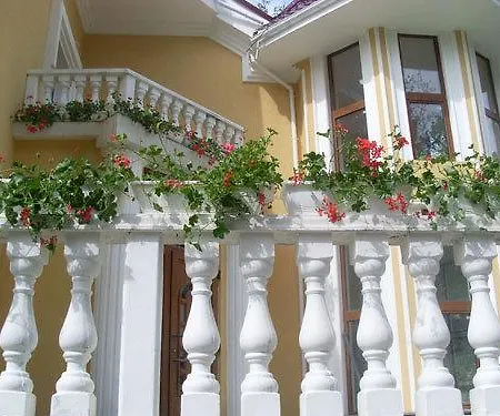 Gnizdo Golubky Casa de hóspedes
