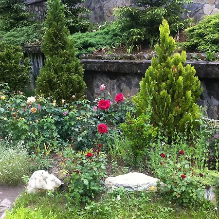 Affittacamere Gnizdo Golubky 4*