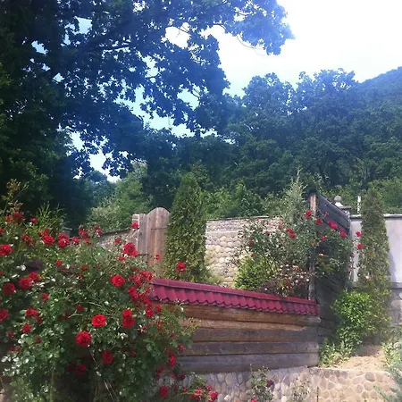 Gasthuis Gnizdo Golubky