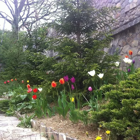 Gnizdo Golubky 4* Shayan