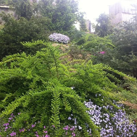 Gnizdo Golubky 4* Shayan