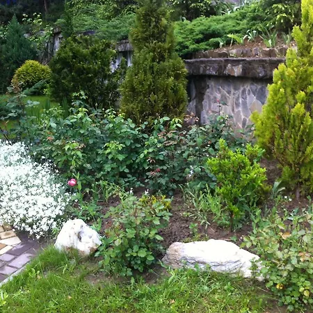 Gasthuis Gnizdo Golubky