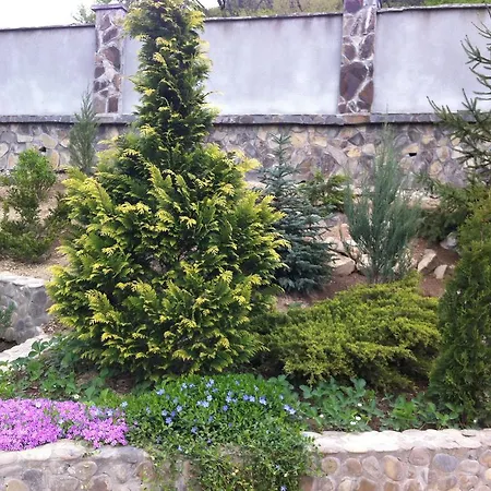 Gnizdo Golubky Gasthuis Saján