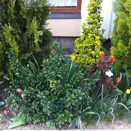 Gnizdo Golubky Affittacamere