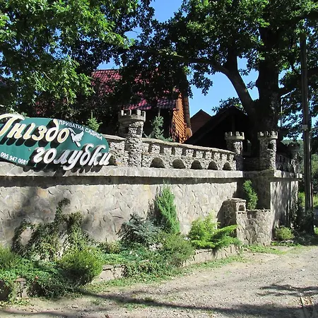 Gnizdo Golubky Guest house
