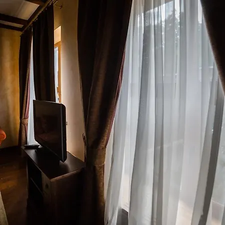 Gnizdo Golubky Shayan