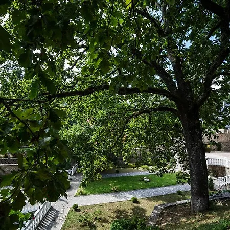 Gnizdo Golubky Affittacamere Shayan