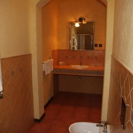 Gnizdo Golubky Shayan