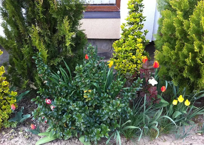 Gnizdo Golubky Guest house