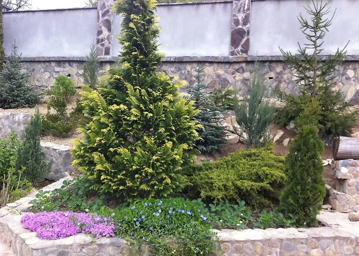 Gnizdo Golubky Konukevi Shayan