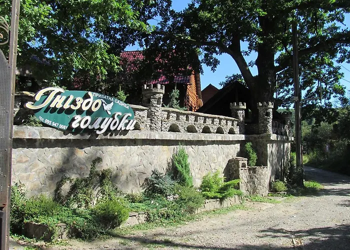 Gnizdo Golubky Konukevi